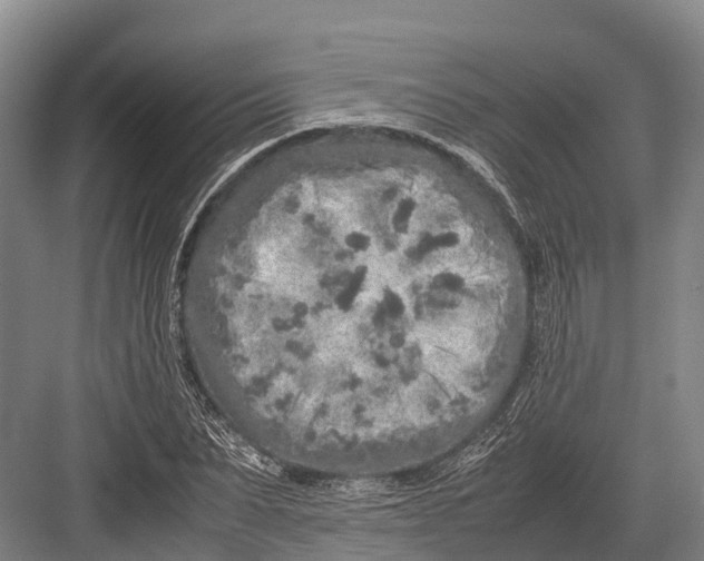 X0000082720879200702161838