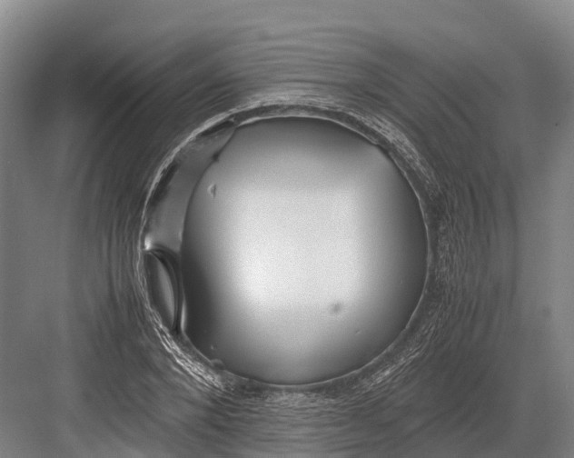 X0000082720880200702161838