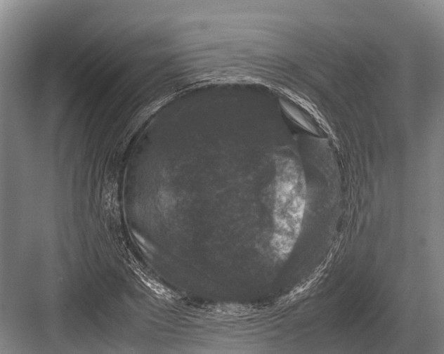 X0000082720881200702161838