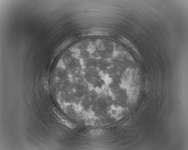 X0000082720882200702161838