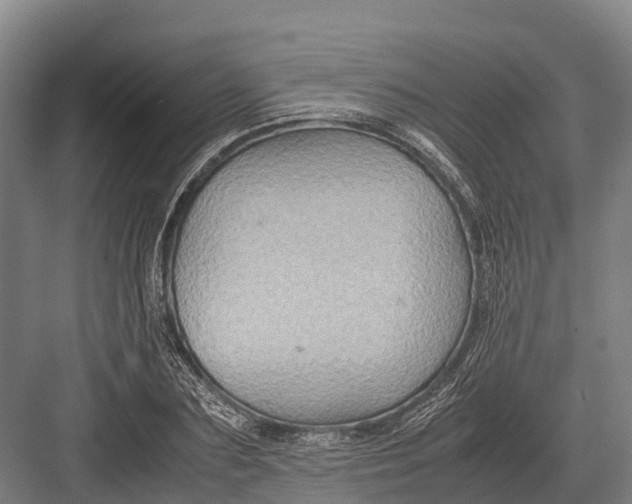 X0000082720883200702161838