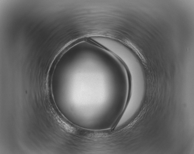 X0000082720884200702161838