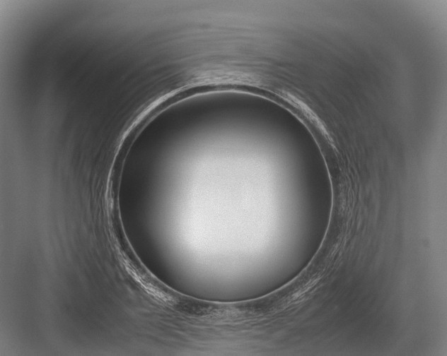 X0000082720885200702161838