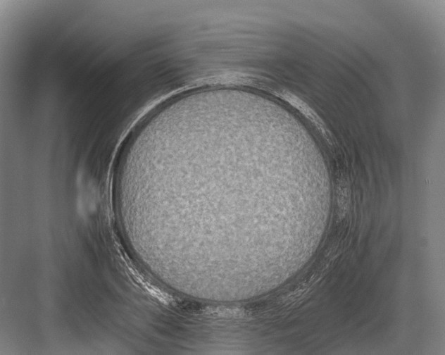 X0000082720886200702161838