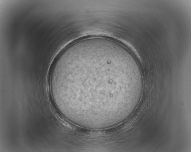 X0000082720887200702161838