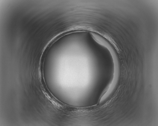 X0000082720888200702161838