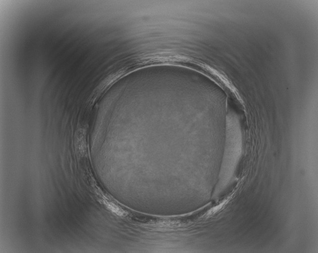 X0000082720889200702161838