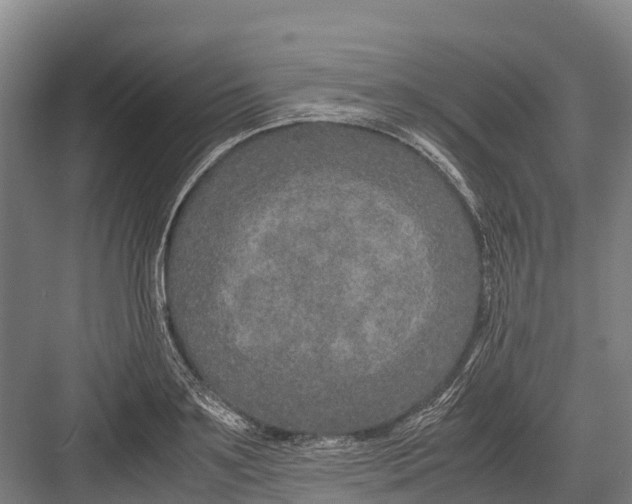 X0000082720891200702161838