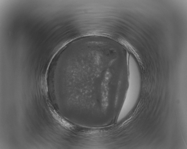 X0000082720892200702161838