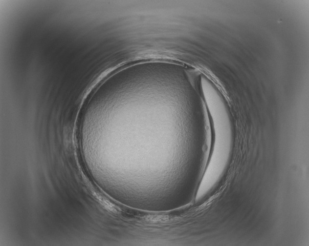 X0000082720893200702161838