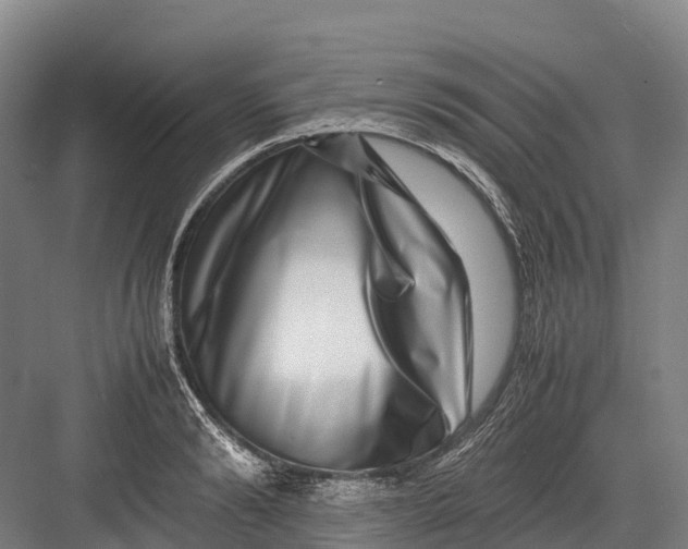 X0000082720894200702161838