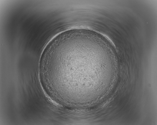 X0000082720895200702161838