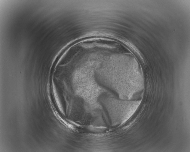 X0000082720896200702161838