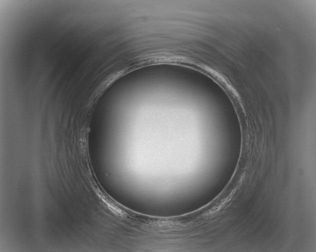 X0000082720897200702161838