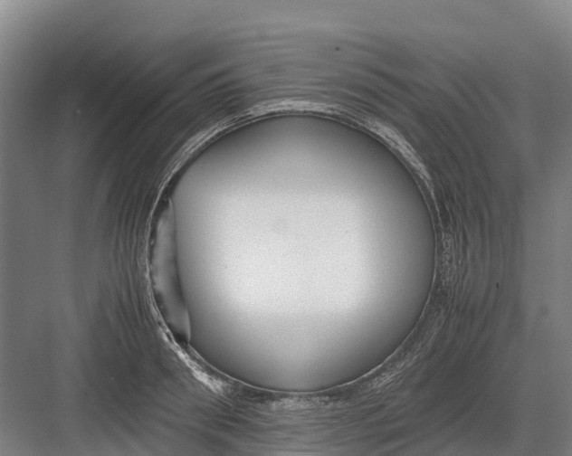 X0000082720898200702161838