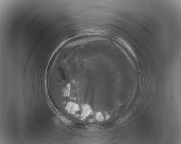 X0000082720899200702161838