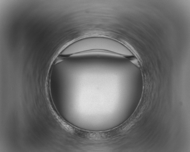 X0000082720901200702161838