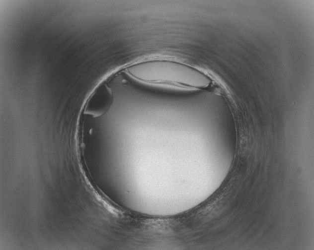 X0000082720902200702161838