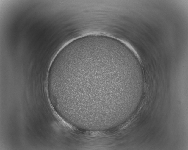 X0000082720903200702161838