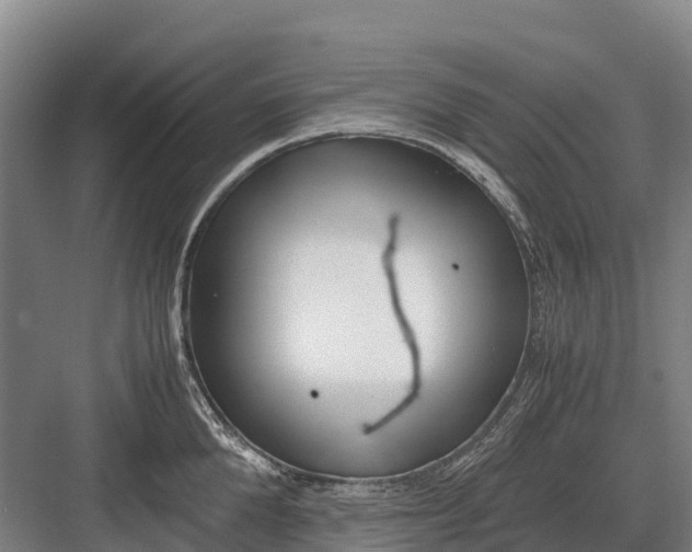 X0000082720904200702161838