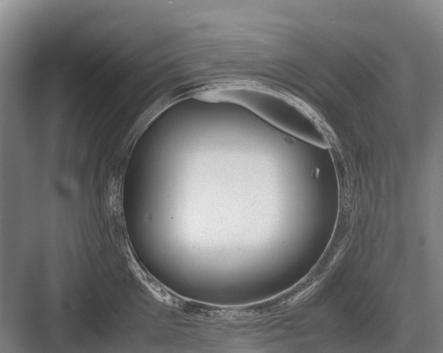 X0000082720905200702161838