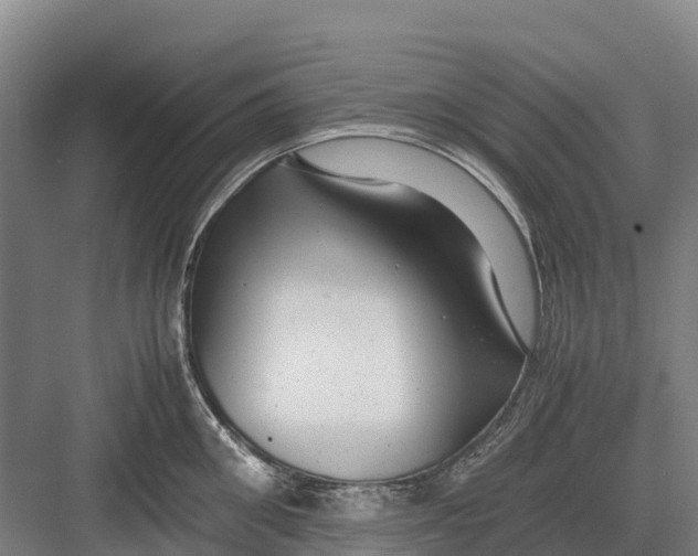 X0000082720906200702161838