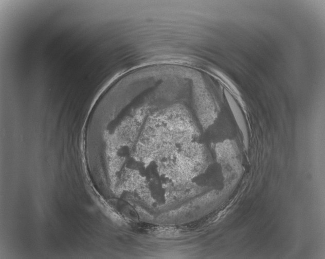 X0000082720907200702161838