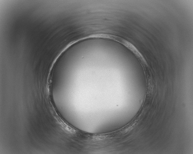 X0000082720908200702161838