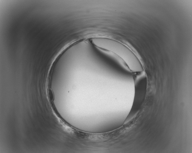 X0000082720909200702161838