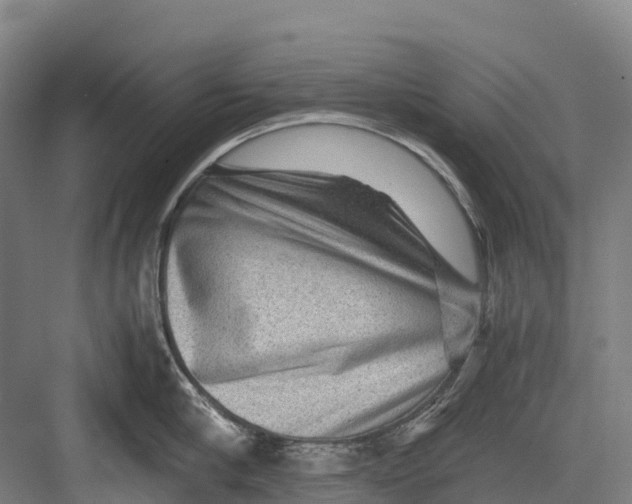 X0000082720910200702161838