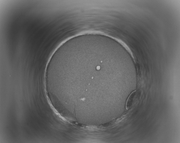 X0000082720911200702161838