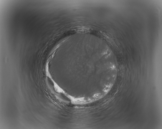 X0000082720913200702161837