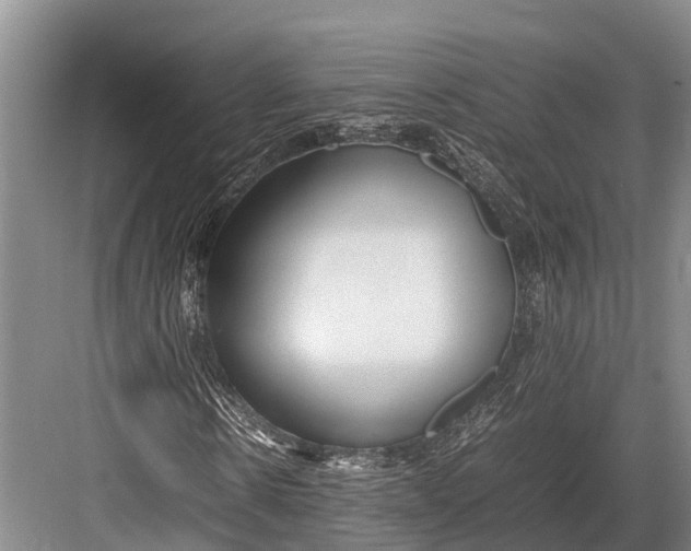 X0000082720914200702161837