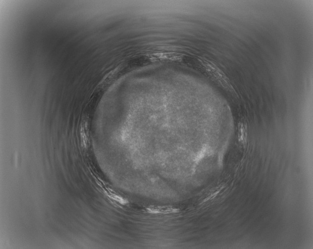 X0000082720915200702161837