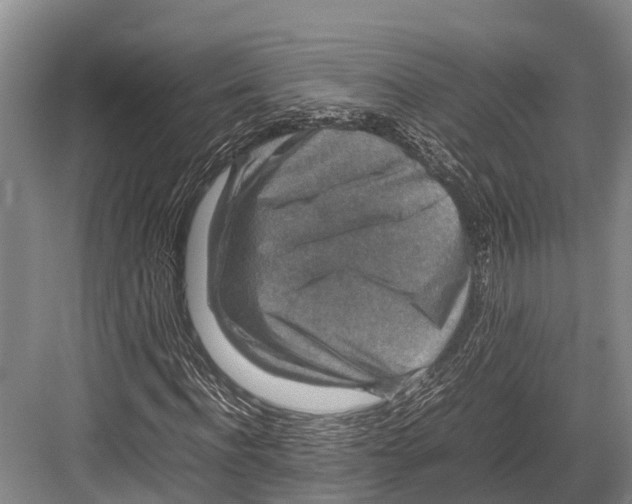 X0000082720916200702161837