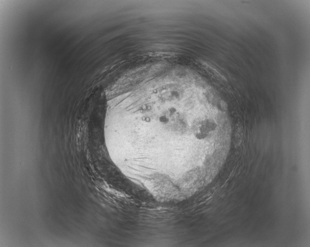 X0000082720917200702161837