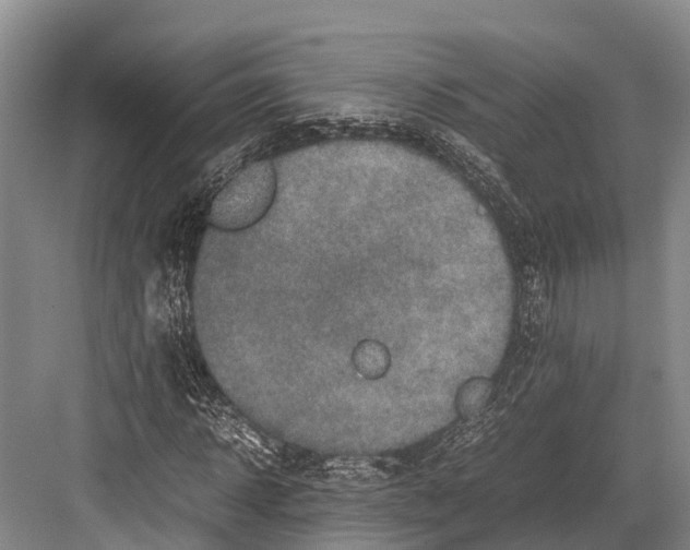 X0000082720918200702161837