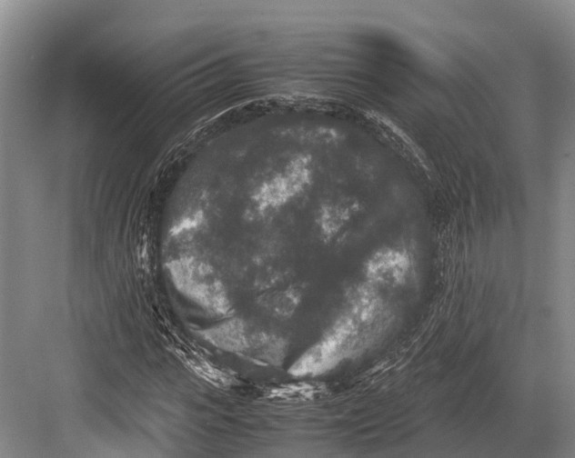 X0000082720919200702161837