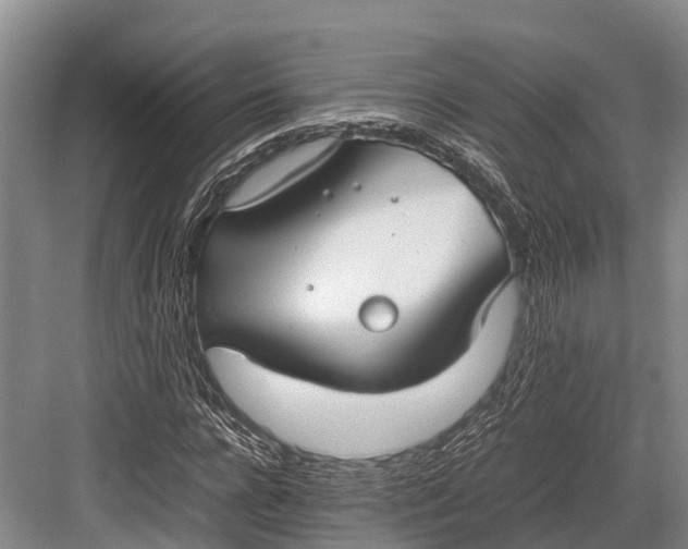 X0000082720920200702161837