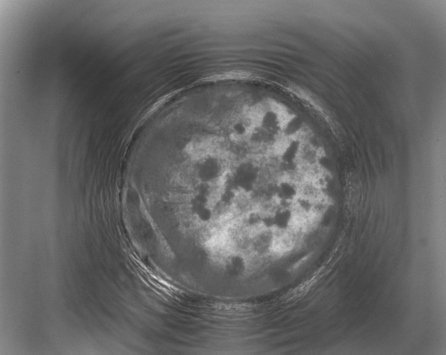 X0000082720921200702161837