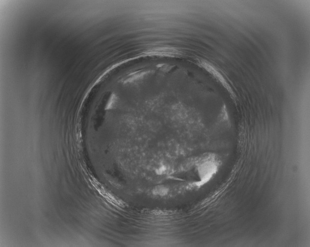 X0000082720923200702161837