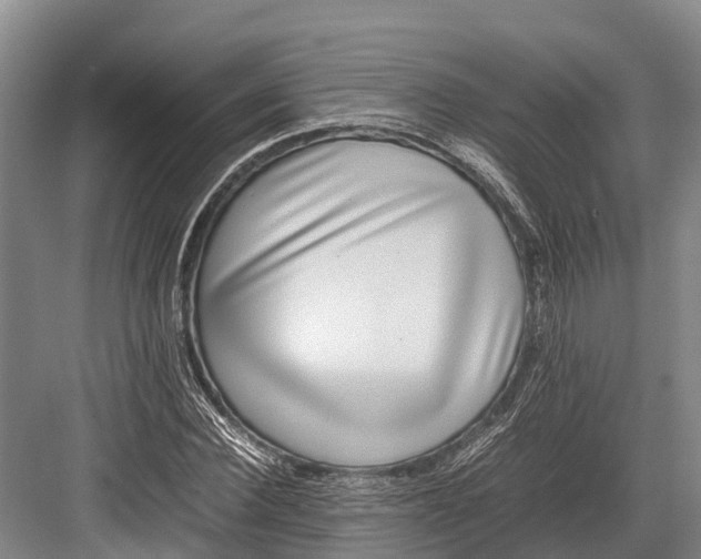 X0000082720924200702161837