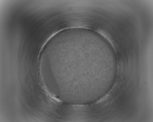 X0000082720925200702161837