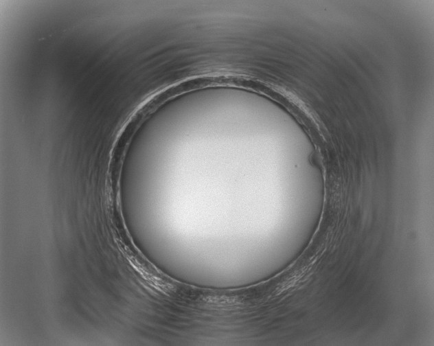 X0000082720927200702161837