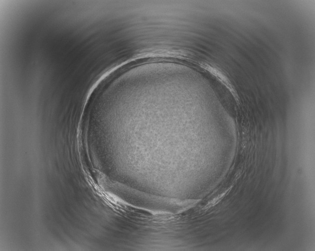 X0000082720928200702161837