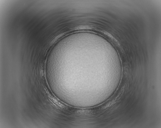 X0000082720929200702161837