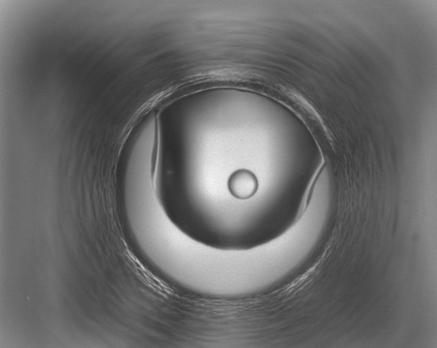 X0000082720930200702161837