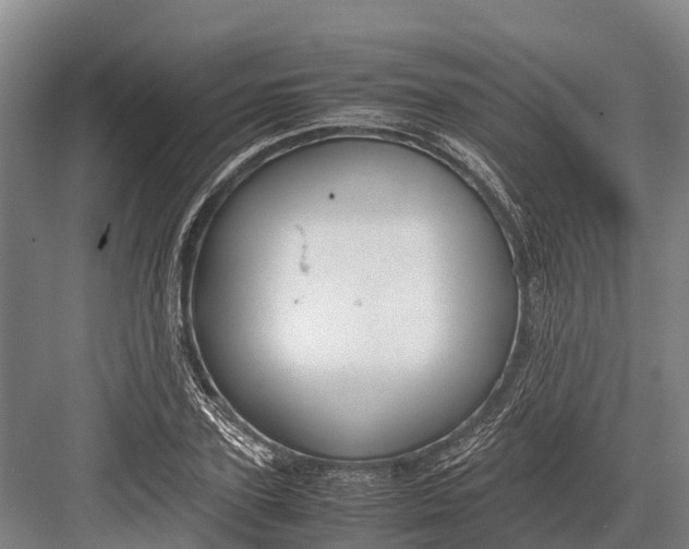 X0000082720931200702161837