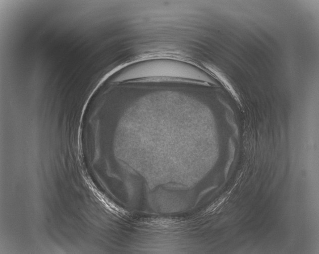 X0000082720932200702161837