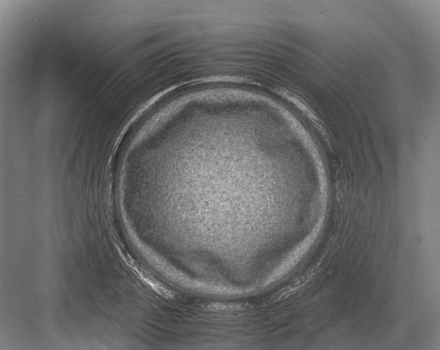 X0000082720933200702161837